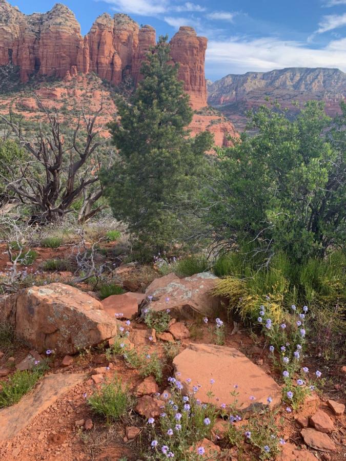 Sedona Room Homestay - Thunder Mountain Екстер'єр фото